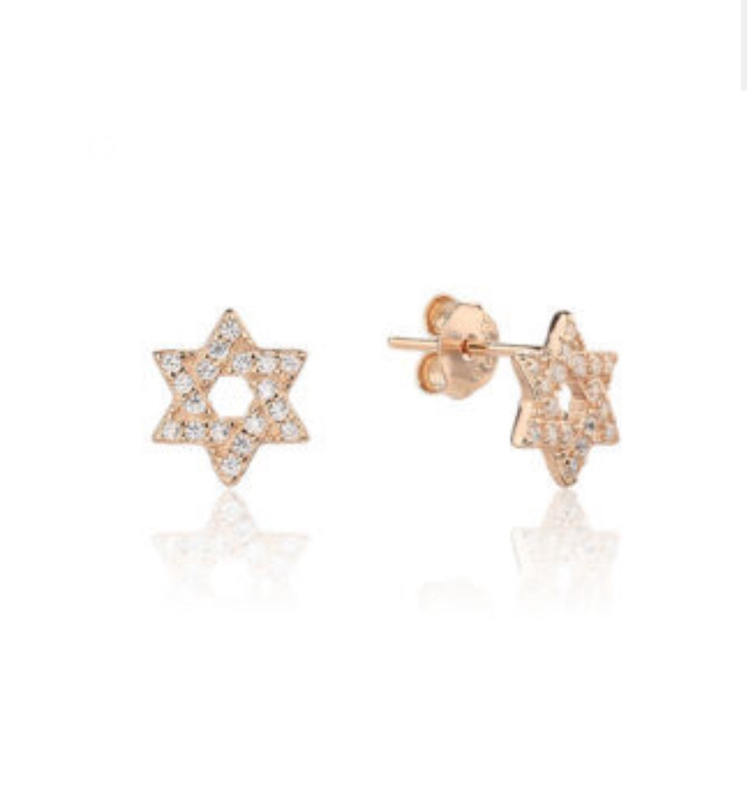 Magen studs rose gold